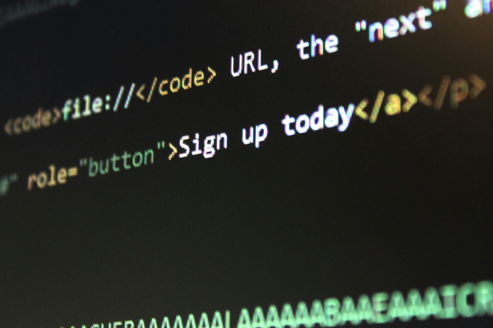 Un écran montrant des lignes de codes de site web